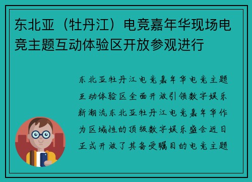 东北亚（牡丹江）电竞嘉年华现场电竞主题互动体验区开放参观进行
