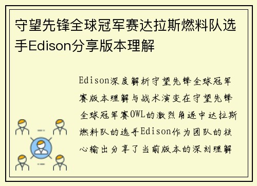 守望先锋全球冠军赛达拉斯燃料队选手Edison分享版本理解