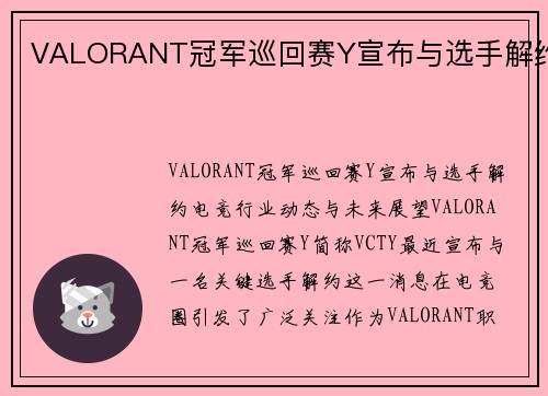 VALORANT冠军巡回赛Y宣布与选手解约