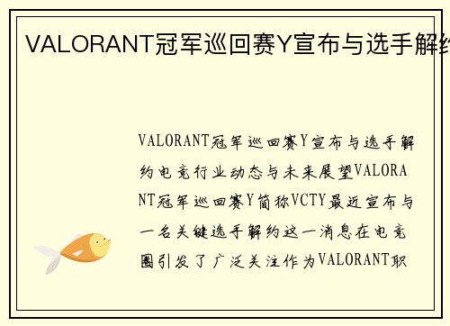 VALORANT冠军巡回赛Y宣布与选手解约